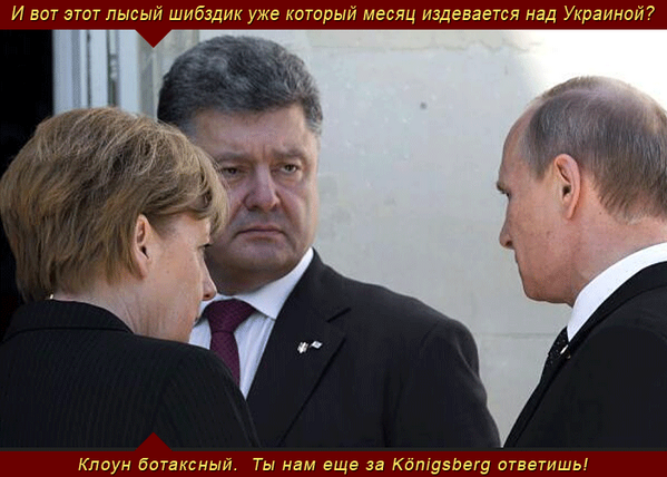 Фото: ShkvarkiUA / Twitter