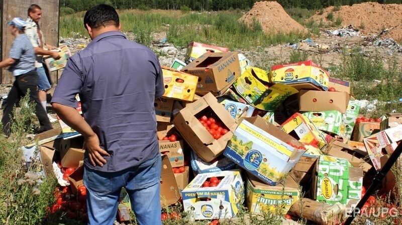 Уничтожение европейских помидоров под Белгородом. Фото: ЕРА