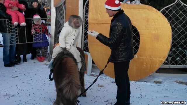 В первый день нового года жителей Керчи развлекали медведь и обезьяна