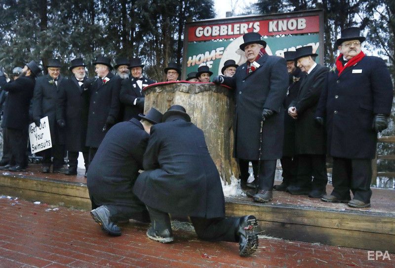 В США достали из норы сурка Фила, он предсказал раннюю весну. Фоторепортаж