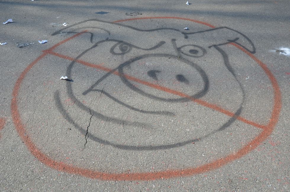 ''Гладковские – люди экономные. С прошлого раза окна не вставляли''. Дом сына первого замсекретаря СНБО забросали петардами. Фоторепортаж