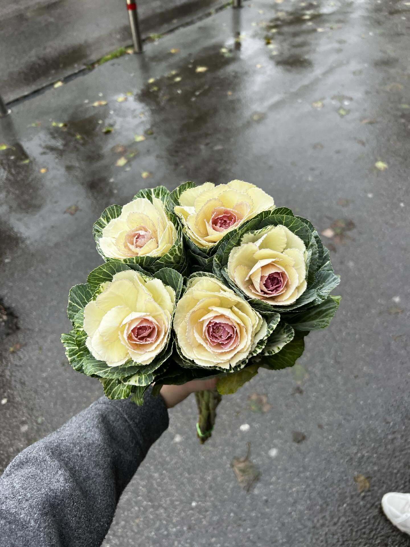 Никто не верит, что это капуста. Шесть трендовых букетов, которые вызывают изумление и восхищение