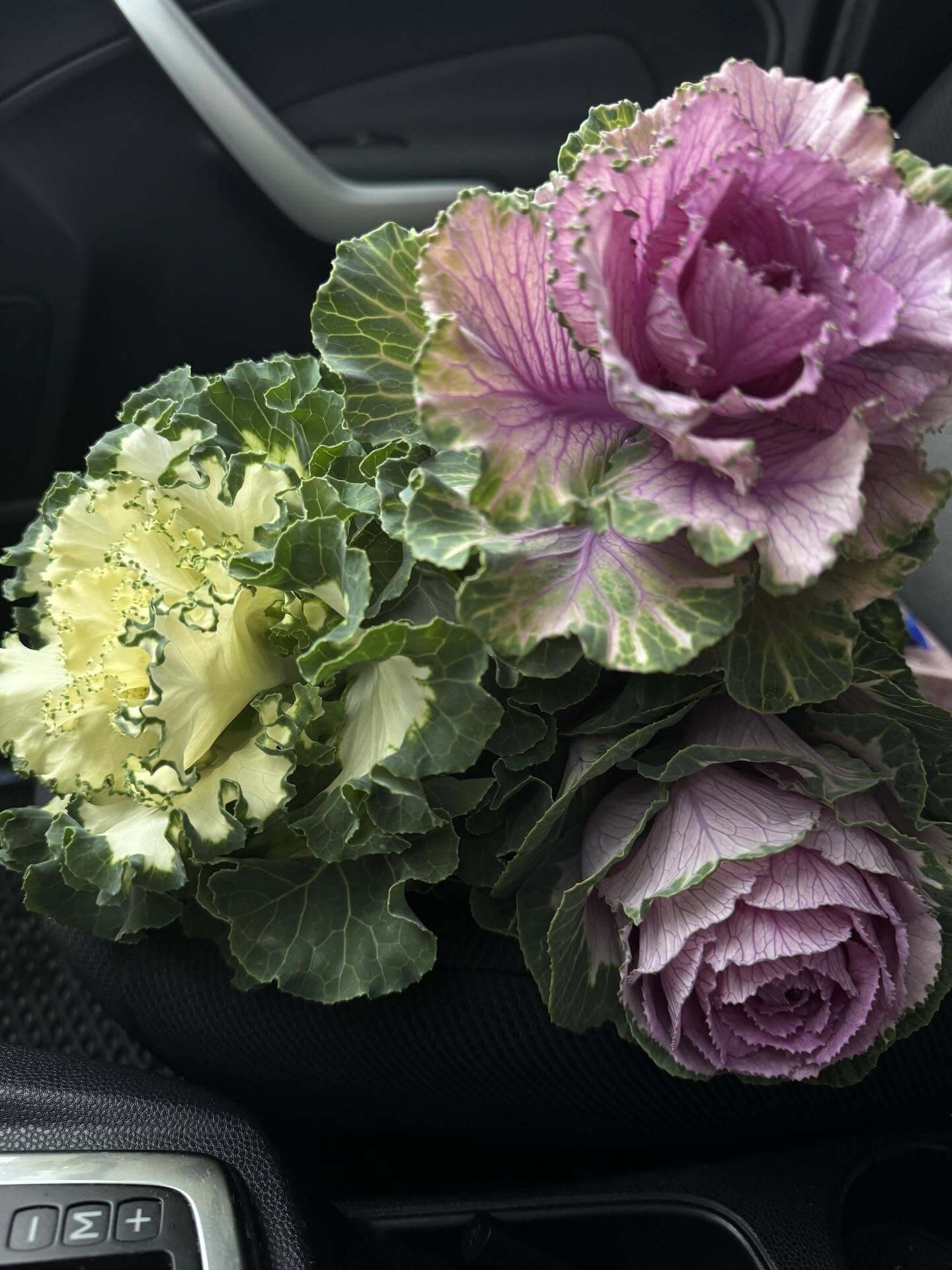 Никто не верит, что это капуста. Шесть трендовых букетов, которые вызывают изумление и восхищение