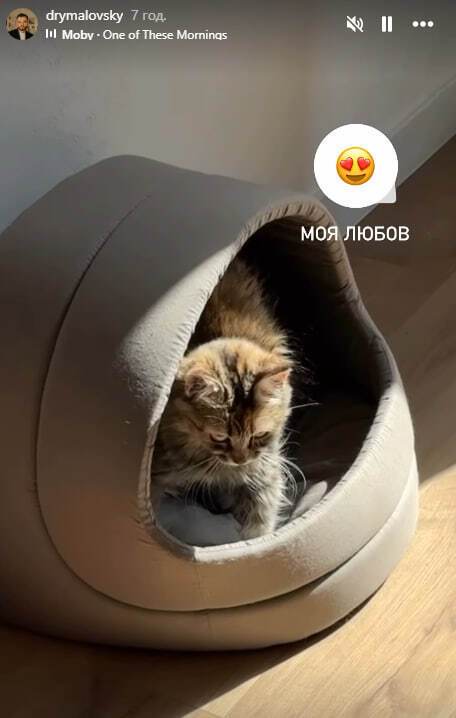Новий спікер Міноборони України показав свою любов. Фото