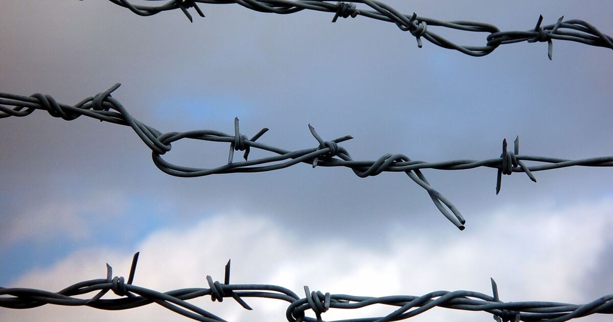 СОЮЗ ЛЮДОЕДОВ, ИЛИ ПОЧЕМУ ГИТЛЕР СТАЛИНА С ДНЕМ РОЖДЕНИЯ ПОЗДРАВЛЯЛ