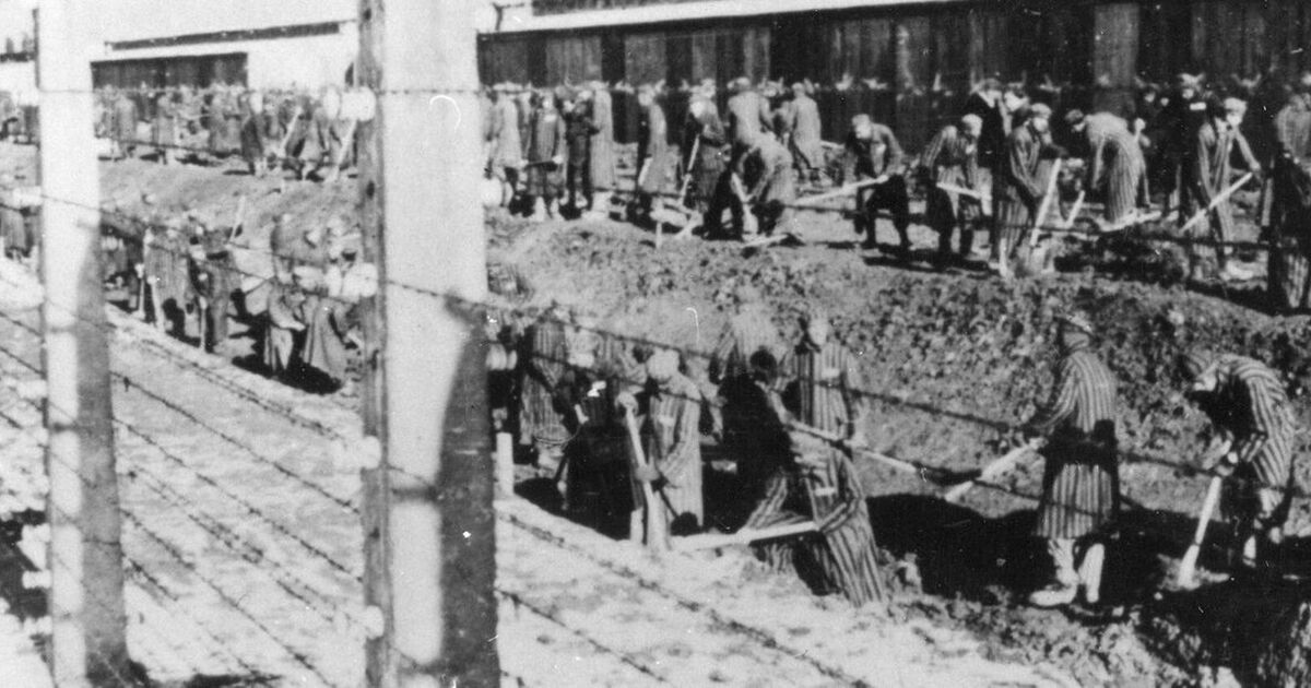 Українці, які пройшли нацистські концтабори
