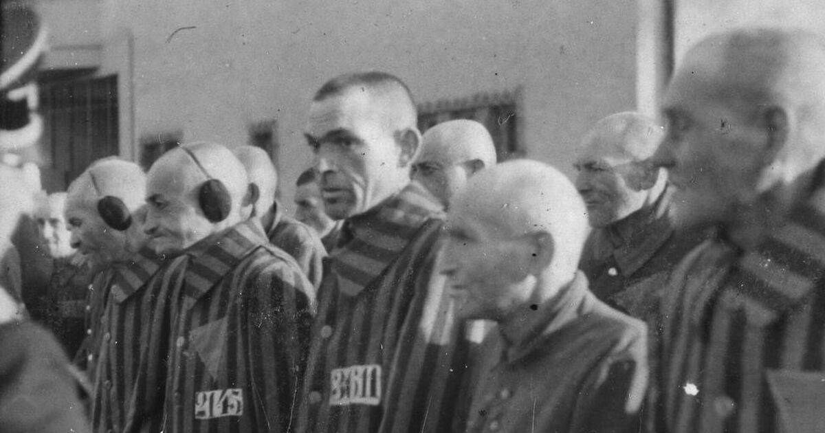 “Мы по лагерям и тюрьмам”: украинские националисты в немецких концлагерях