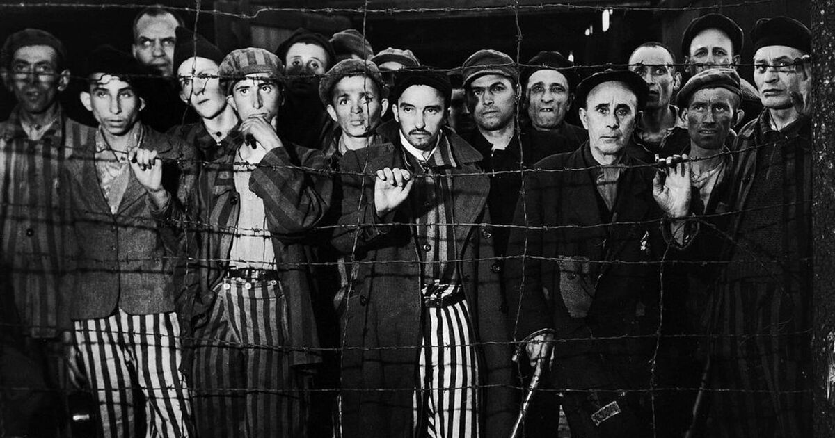 Піт і мозолі: остарбайтери в концтаборах Третього рейху