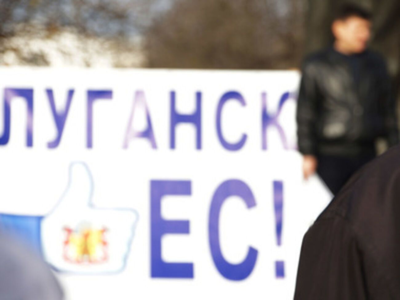 Евромитинг в Луганске, 24 ноября 2013 года
