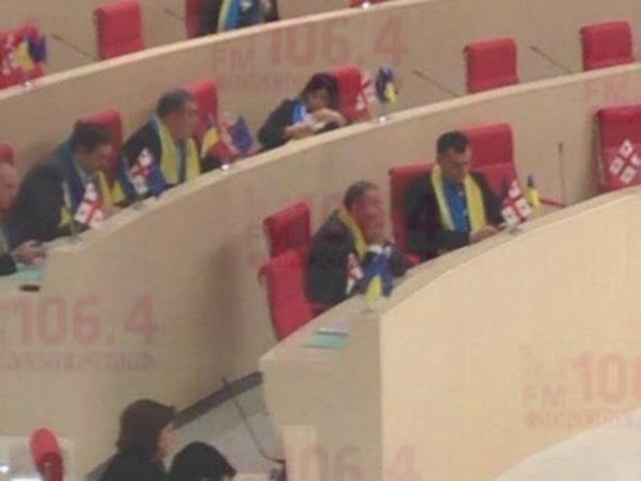 Грузины поддержали Евромайдан