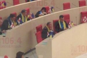 Грузины поддержали Евромайдан
