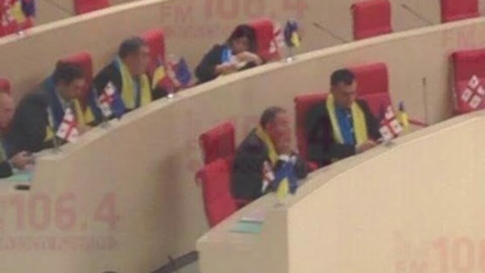 Грузины поддержали Евромайдан