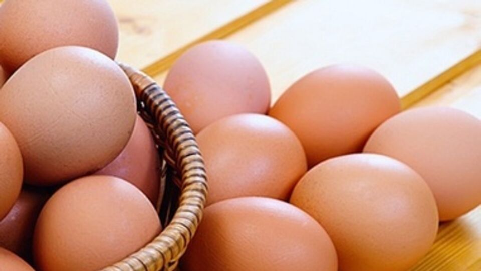 "Они даже не пахнут яйцами" - Житинский