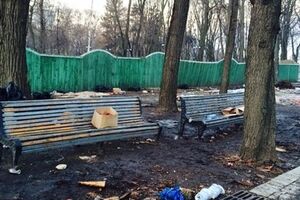 Мариинский парк после Антимайдана. Фоторепортаж