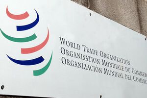 ВТО рассмотрит жалобу в следующем году