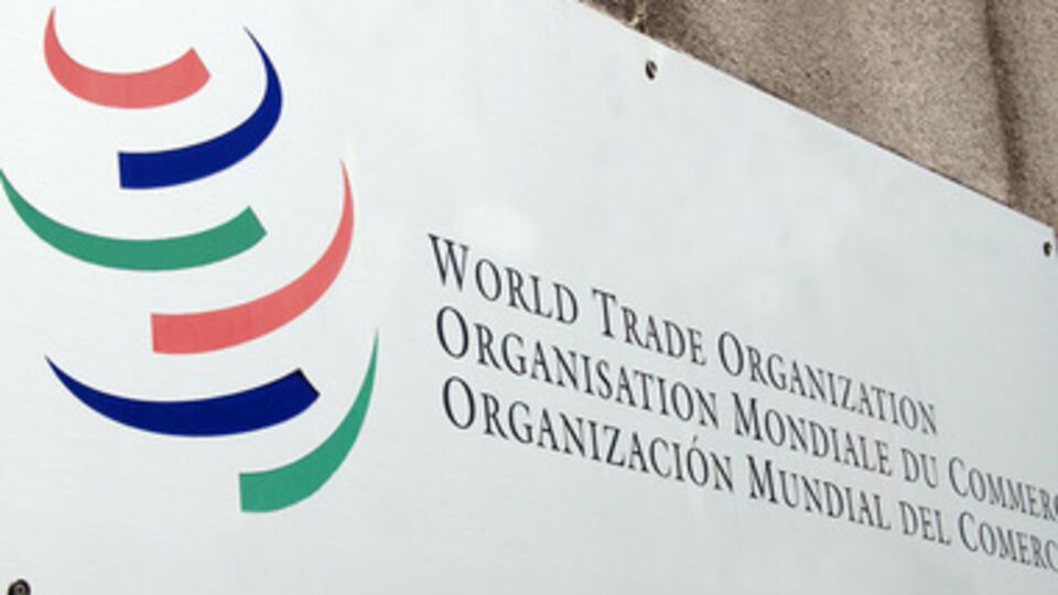 ВТО рассмотрит жалобу в следующем году