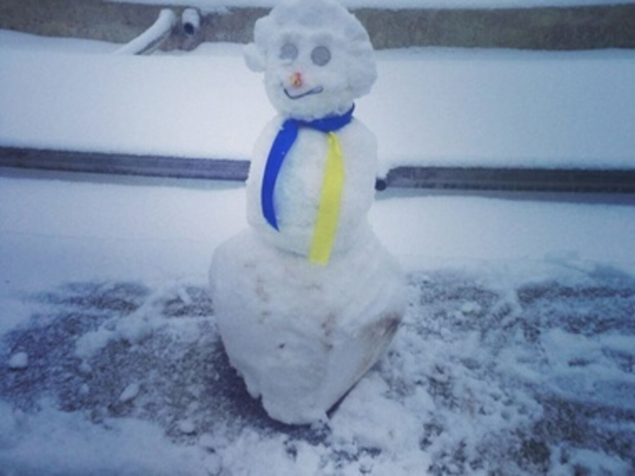 Семья поддерживает Евромайдан