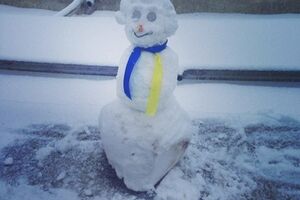 Семья поддерживает Евромайдан