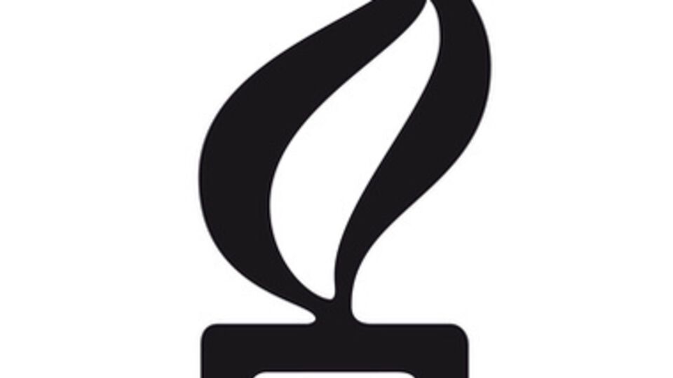 AI огорчена избиением Черновол и Пилипца