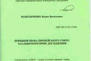 Колесниченко изучал право ЕС