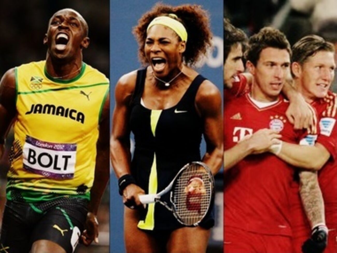 Спортсмены 2013 года