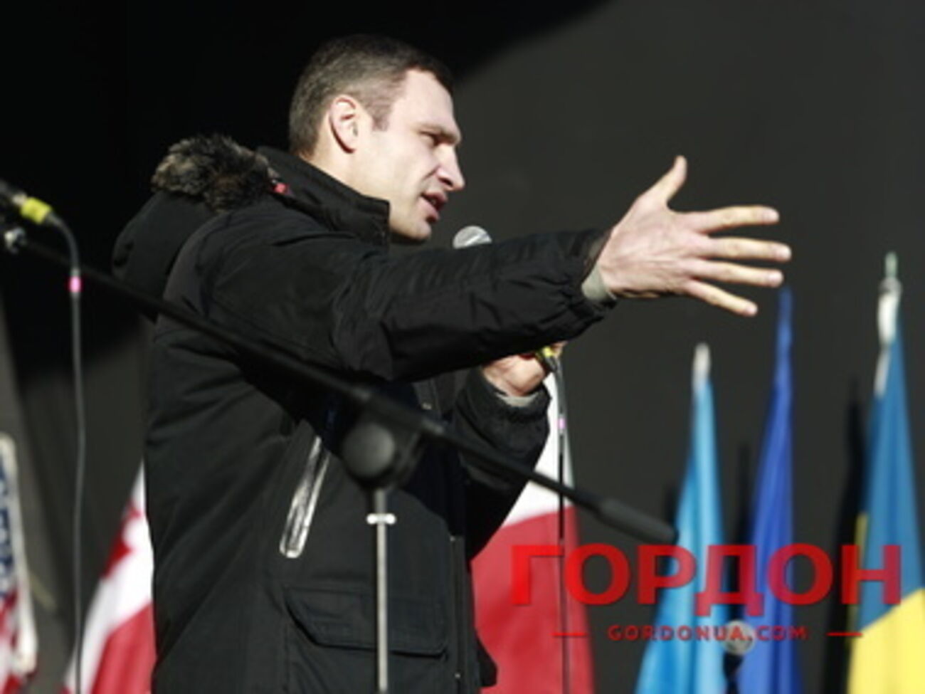 Лидер УДАРа Виталий Кличко