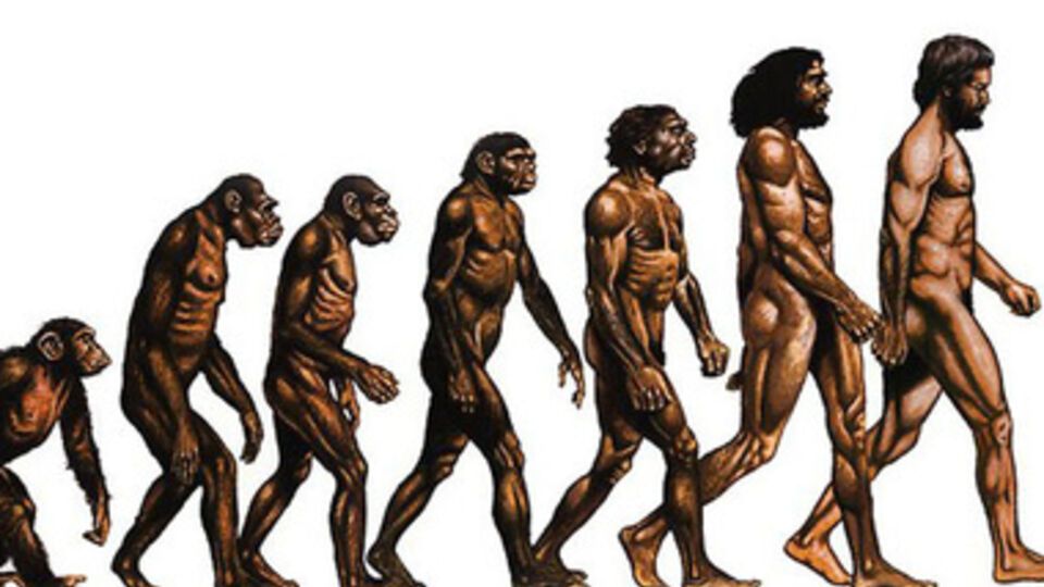 Эволюция человека