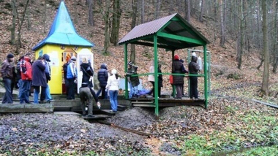 Источник является единственной уцелевшей частью Межигорского монастыря