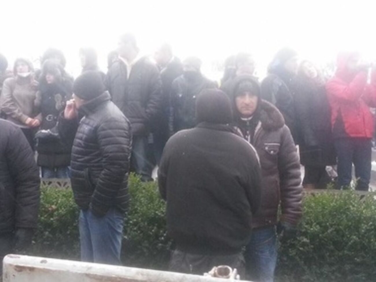 Провластный митинг под Радой