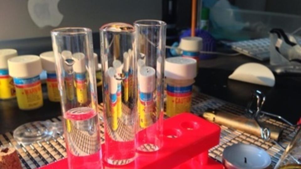 Утечка произошла в четверг