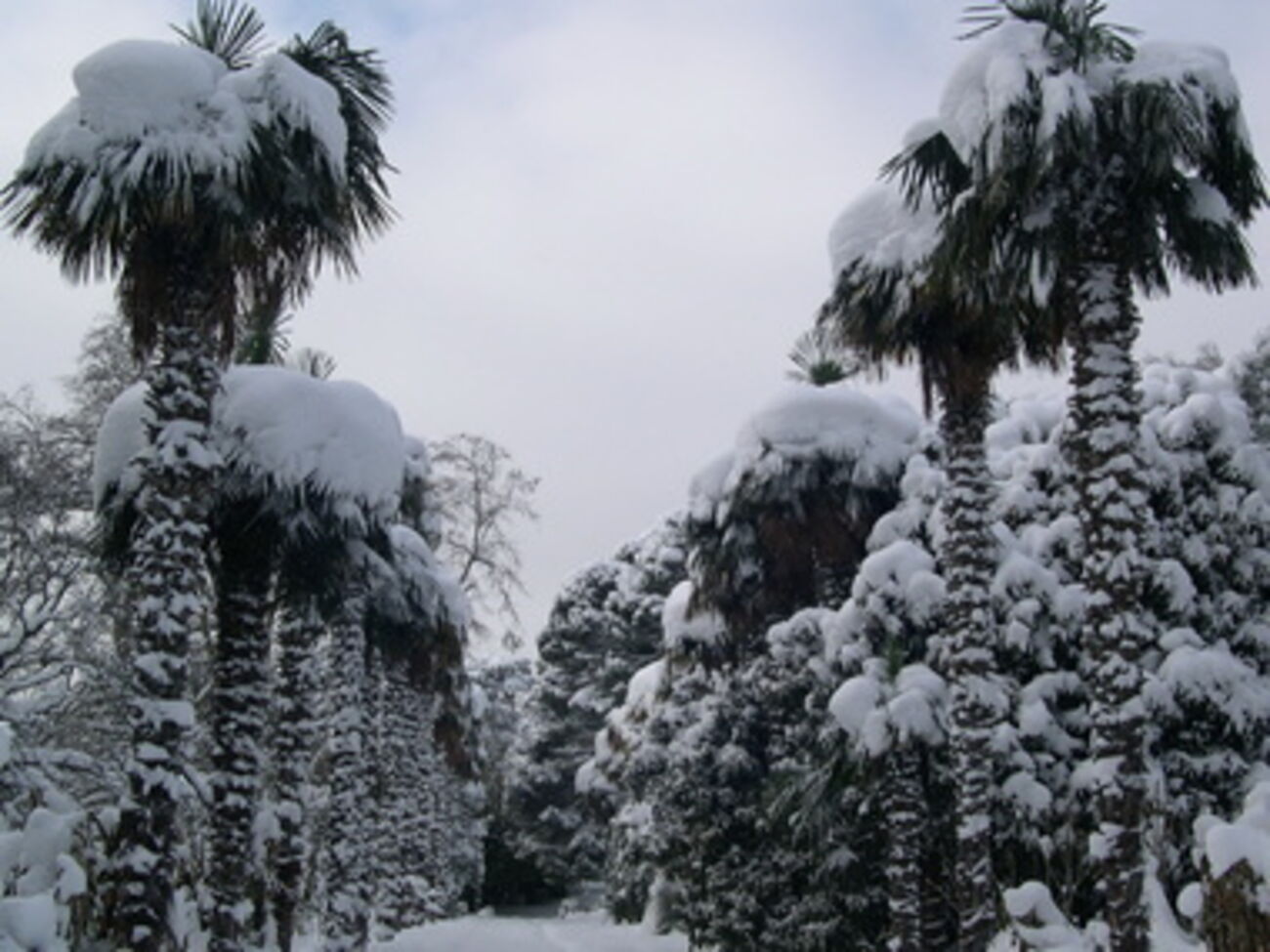 Поток туристов вновь растет