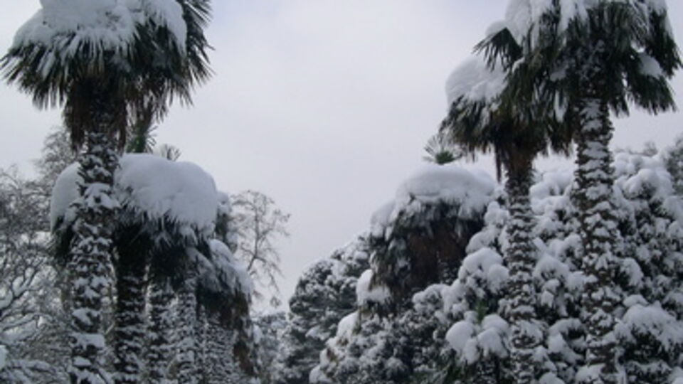 Поток туристов вновь растет