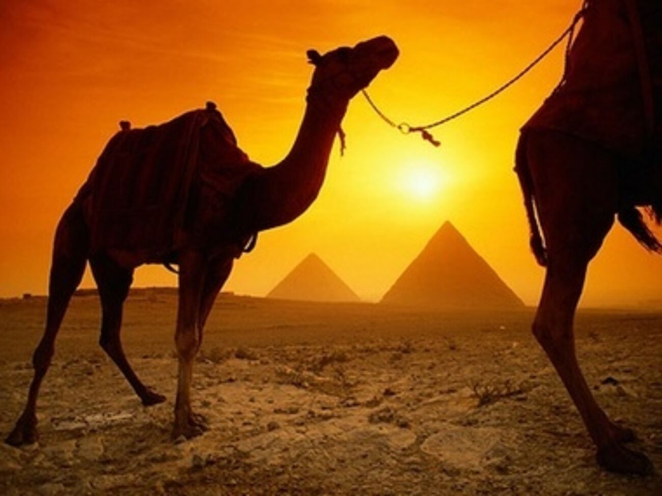 Конституцию разрабатывала преимущественно светская комиссия