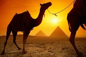 Конституцию разрабатывала преимущественно светская комиссия