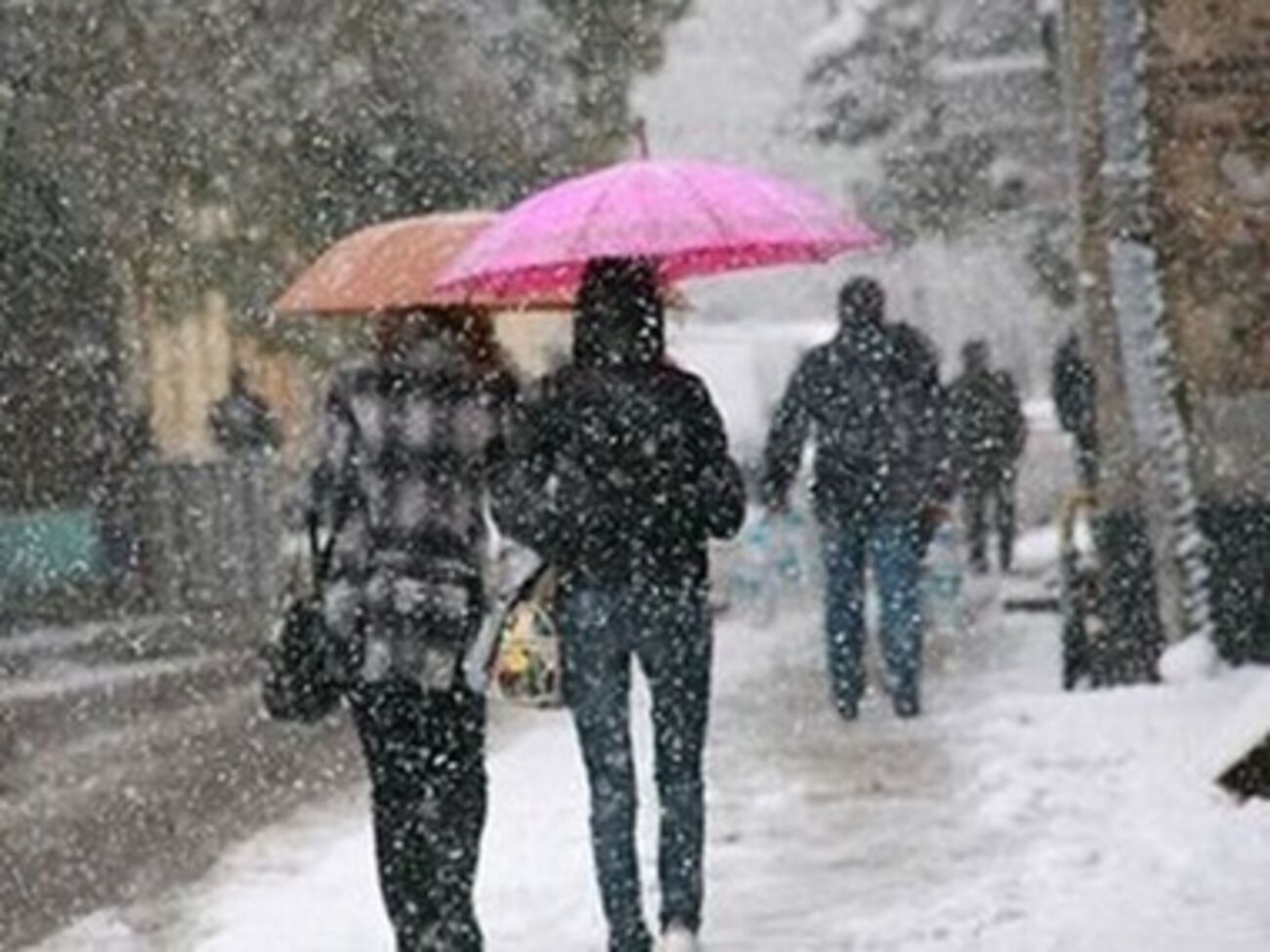 Гидрометцентр предупредил о гололеде и штормовом ветре на юге Украины