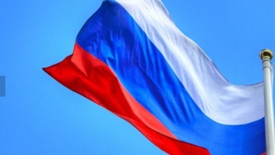 Флаг должен был использоваться наравне с символикой республики