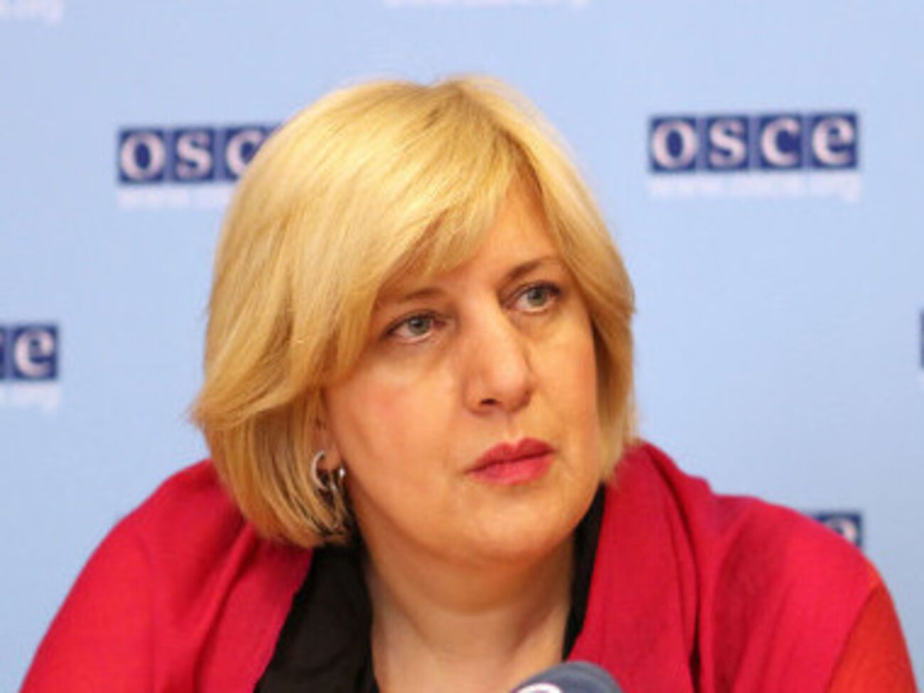 Спецпредставитель ОБСЕ Дуня Миятович