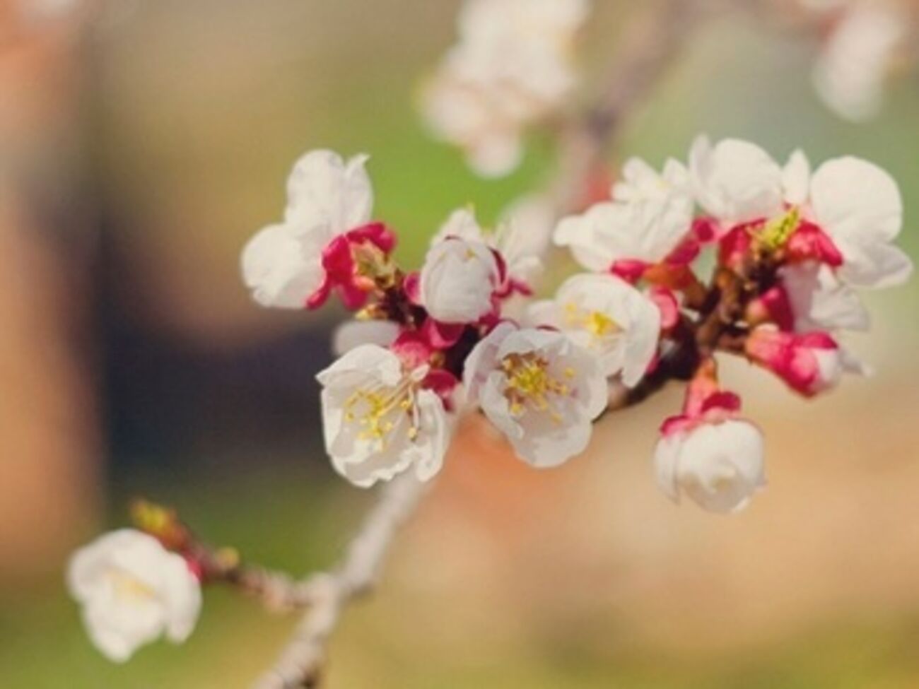 Весна в Украину придет быстро