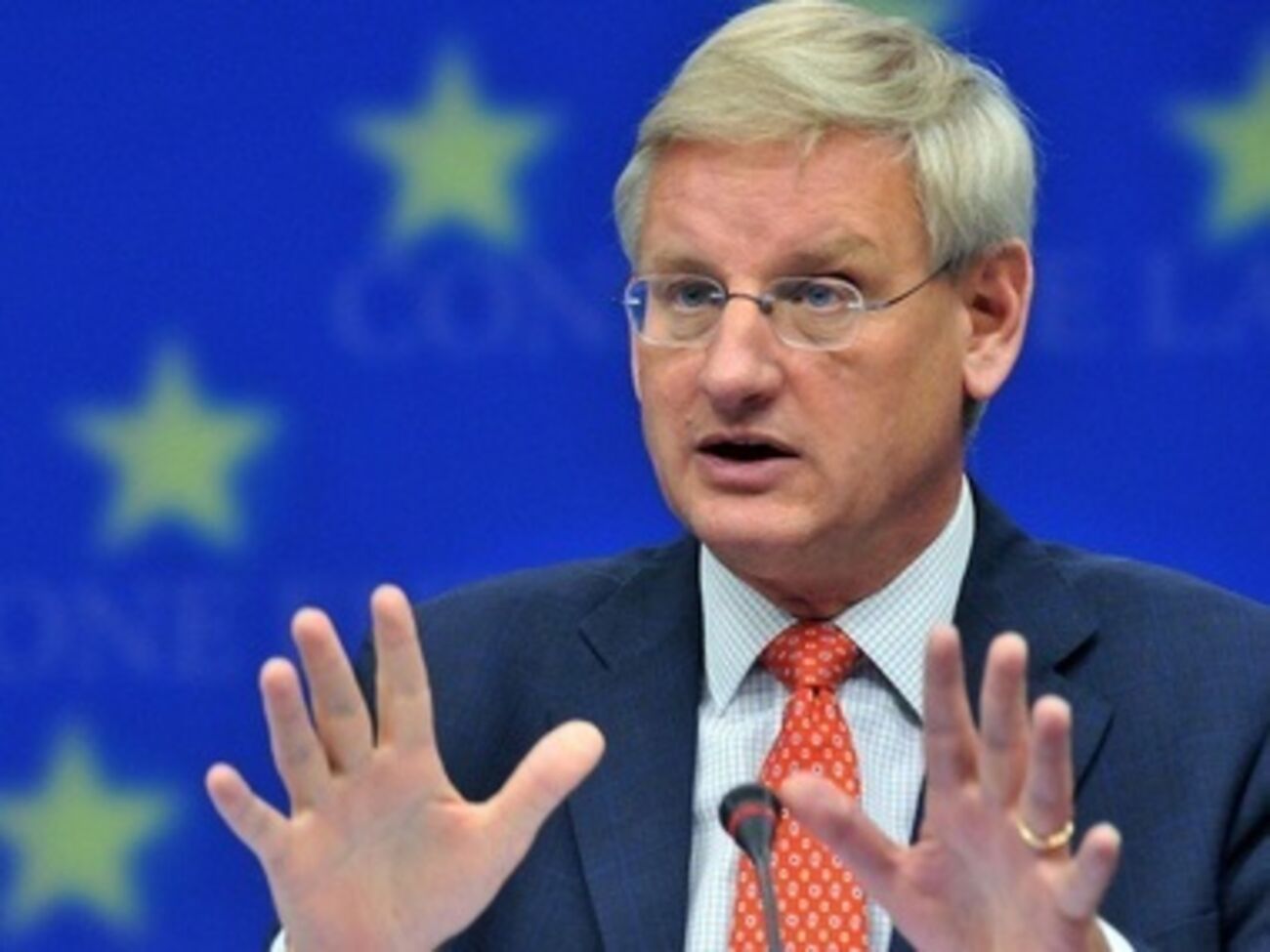 Прогноз Карла Бильдта пессимистичен