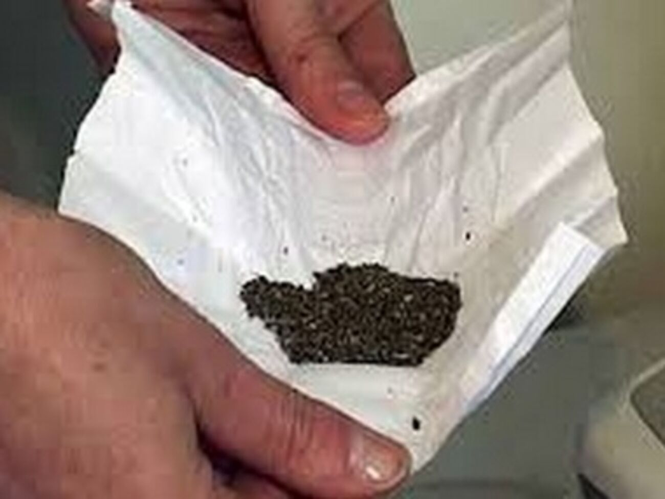 Подозреваемые подбросили вещество, похожее на марихуану