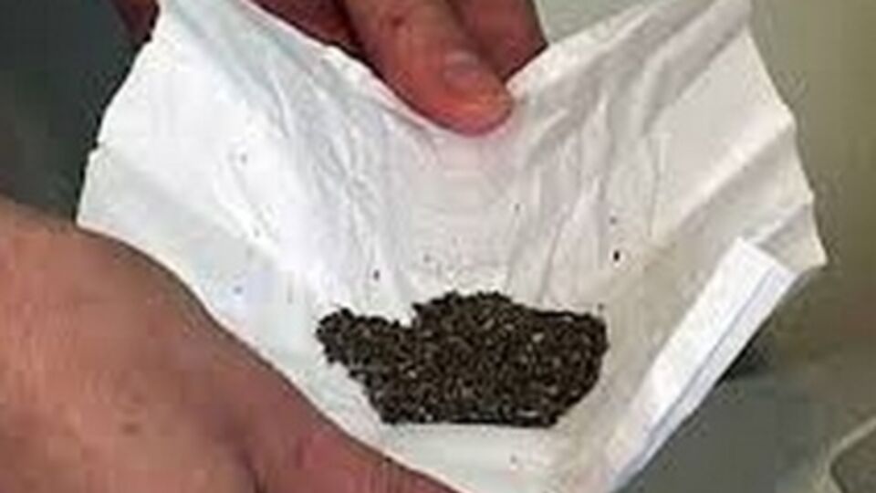 Подозреваемые подбросили вещество, похожее на марихуану