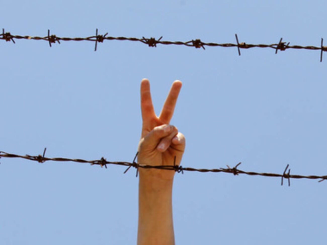 На турецко-сирийской границе строят четырехметровую разделительную стену