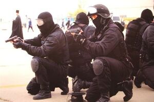 "Альфу" используют в борьбе с террористами