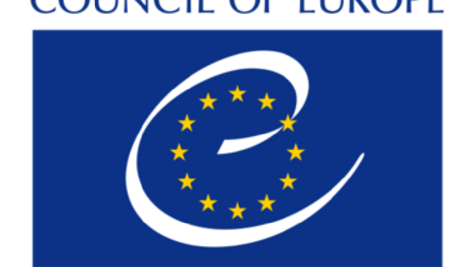 Совет Европы анализирует новое украинское законодательство