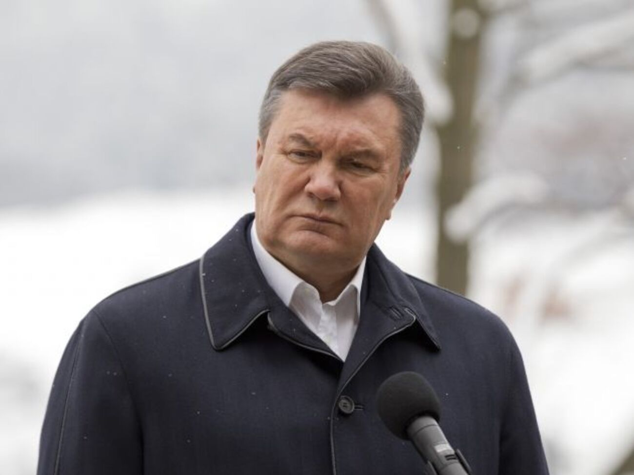 Президент поздравил украинцев с Днем соборности