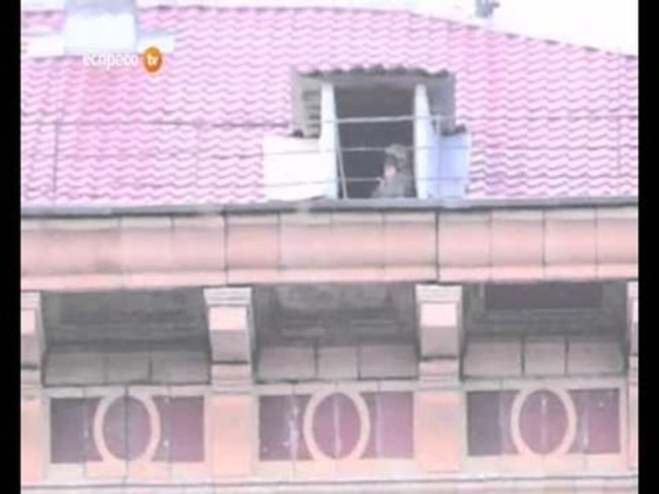 Ранее СМИ обнаруживали вероятных "снайперов"