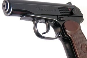 Эксперты: Держите оружие дома