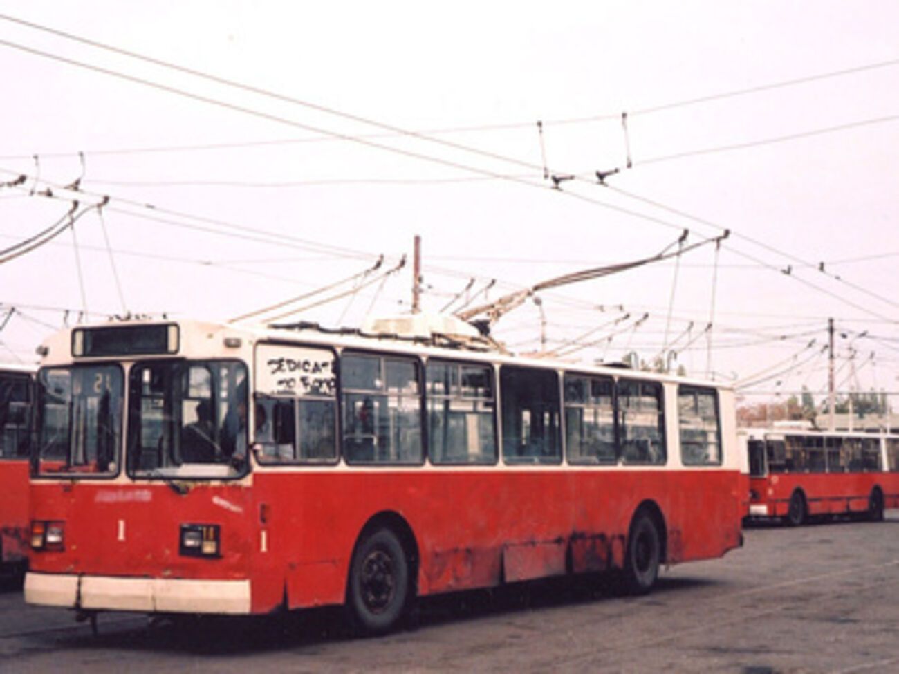 Риф вырастет вокруг троллейбуса