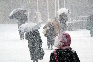 В Украине бушуют метели