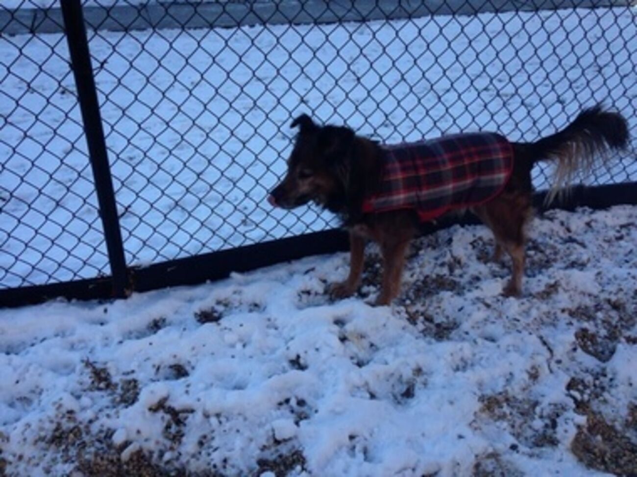 США накрыл шторм "Геркулес"